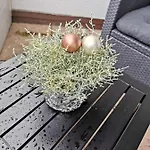 Ruhig Und Zentral Homestay szállás